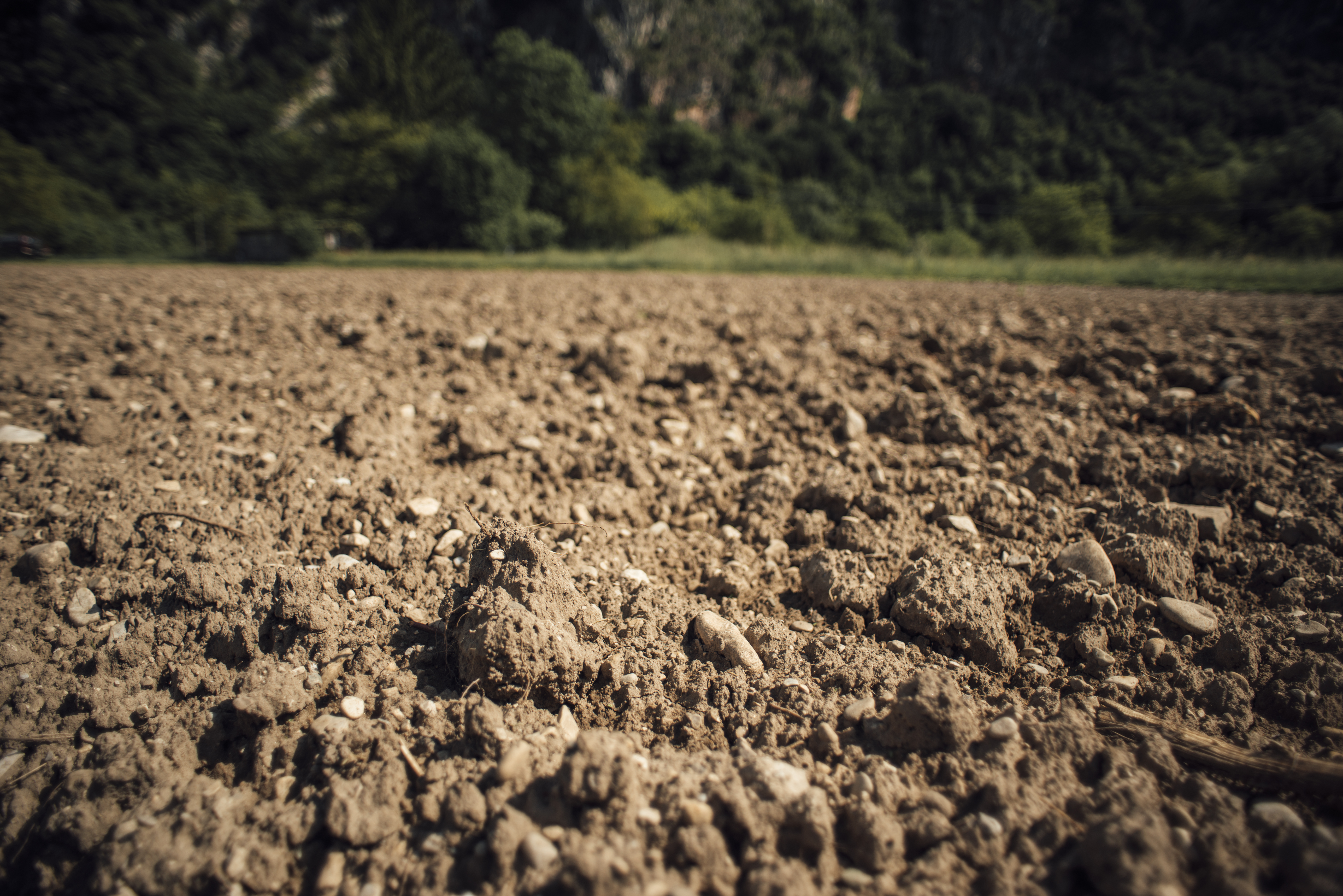 Почвы т. Хумус почва. Русское поле гумус. Fertile Soil. Выгоревшие гумусовые поля.